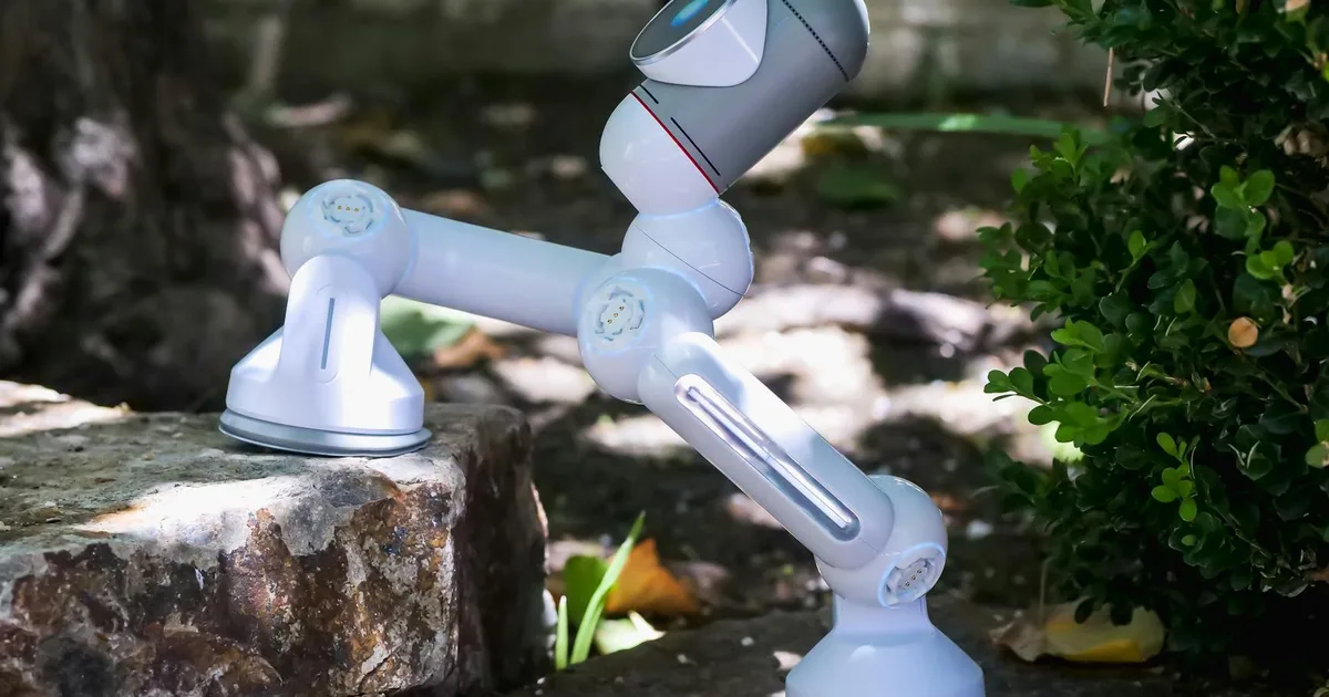 Scaling Tech in 2026: AI-Native, Lean Cloud & PLG 2.0 Strategies